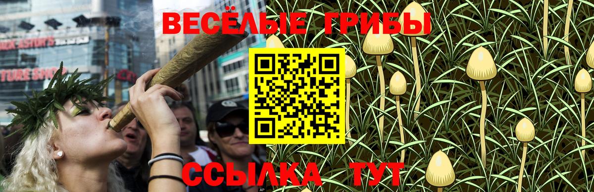 Псилоцибиновые грибы Psilocybine cubensis  Галлюциногенные грибы GOLDEN TEACHER  магазин    Вход с VPN  Ржев 
